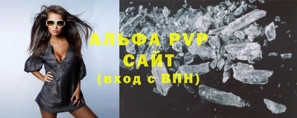 прущие грибы Балахна