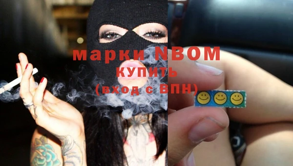 прущие грибы Балахна