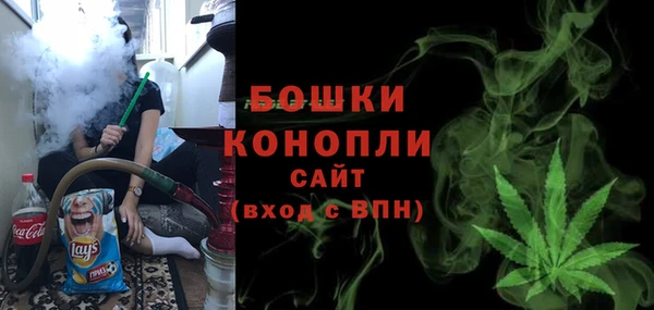 прущие грибы Балахна