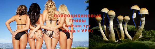 ПСИЛОЦИБИНОВЫЕ ГРИБЫ Балабаново