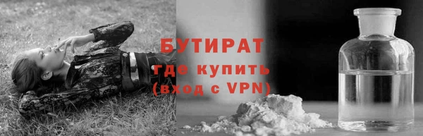 прущие грибы Балахна