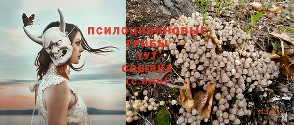 ПСИЛОЦИБИНОВЫЕ ГРИБЫ Балабаново