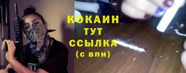 прущие грибы Балахна