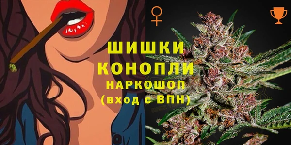 ПСИЛОЦИБИНОВЫЕ ГРИБЫ Балабаново