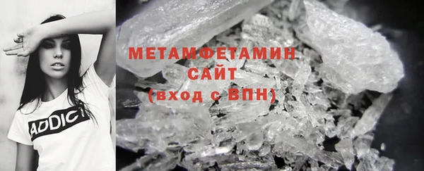 прущие грибы Балахна